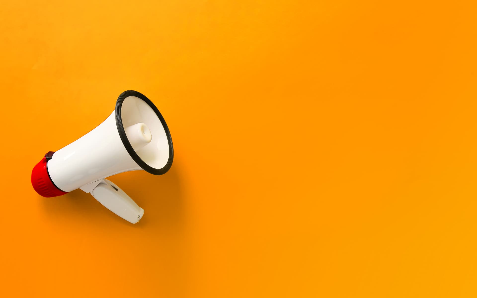 Social Media Management